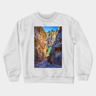 Lick Wash Trail Hike Crewneck Sweatshirt